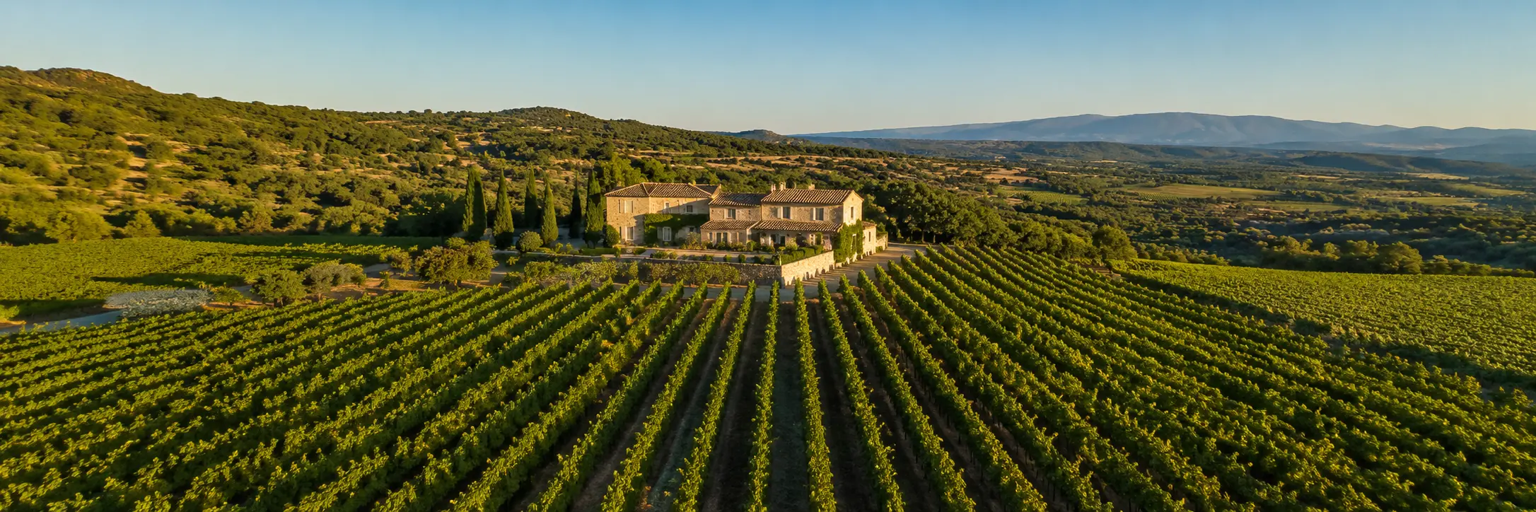 Vue aérienne par drone d'un vignoble provençal en Gard, suivi de parcelles